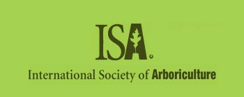ISA logo